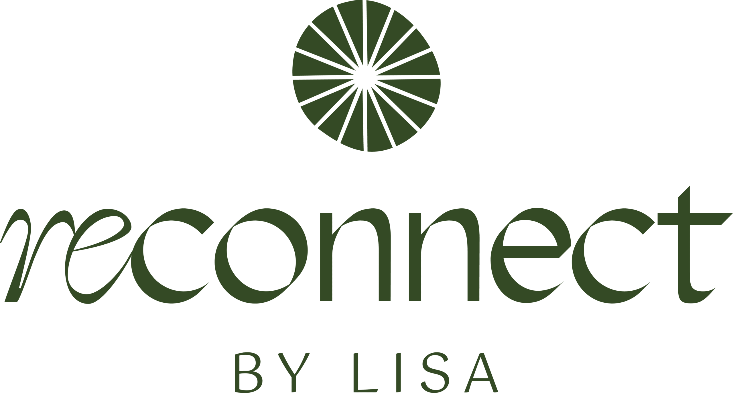 Reconnect Logo grün